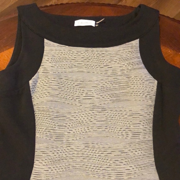 Calvin Klein Sleeveless Textured Bodycon Dress Size 4 - Picture 3 of 7